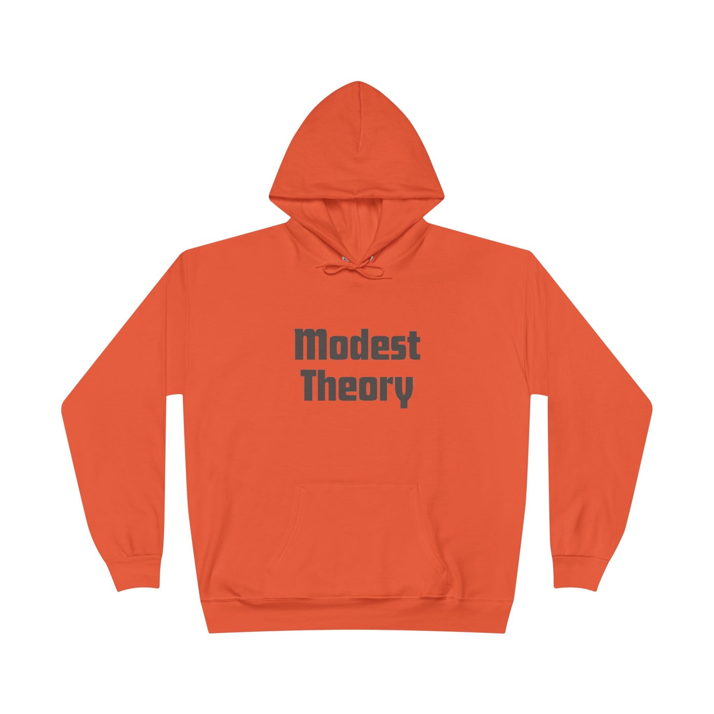 Modest Theory Unisex Pullover Hoodie